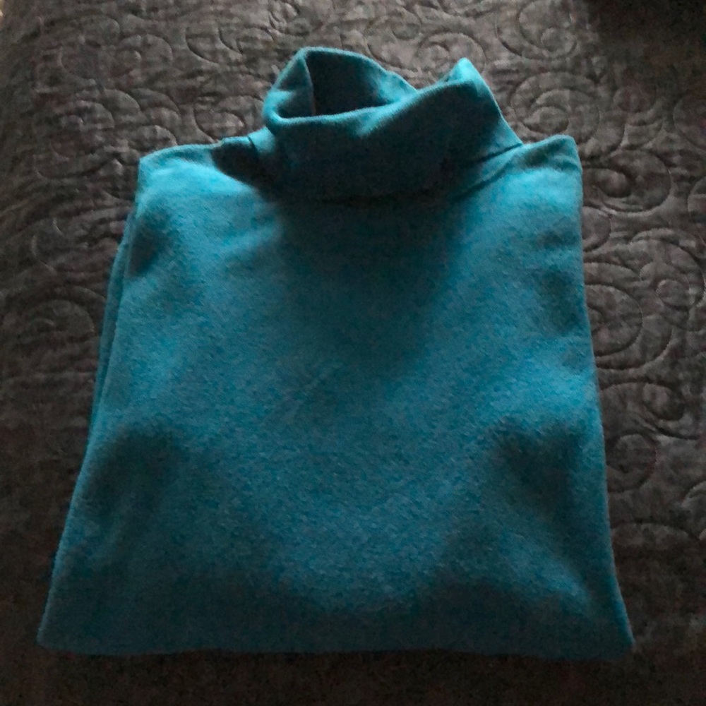 Talbots classic turtleneck